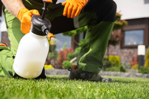 Best Pest Control Near Me in Springfield, IL