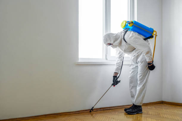 Best Affordable Pest Control Services  in Springfield, IL