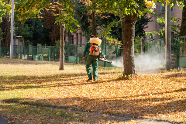 Best Termite Control Services  in Springfield, IL