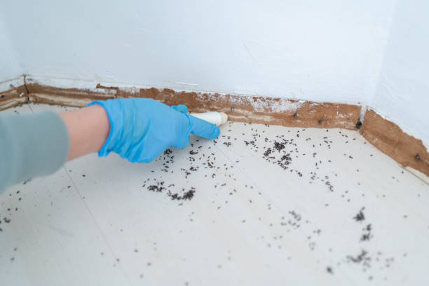 Best Commercial Pest Control Services  in Springfield, IL