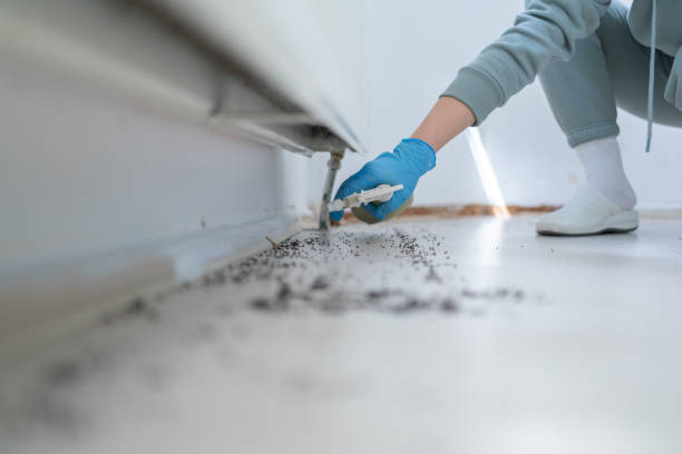 Best Exterminator Services  in Springfield, IL